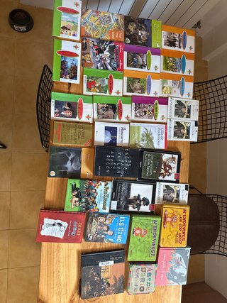 Libros de diferentes autores e idiomas