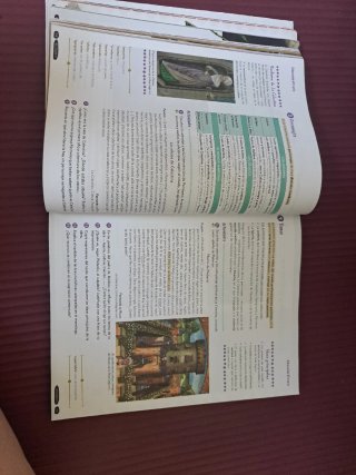 Lengua castellana y literatura Geniox