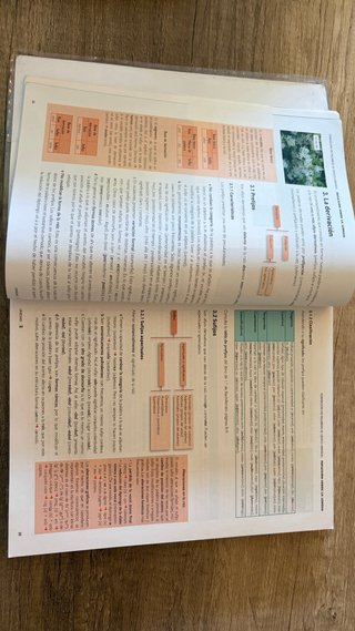 Lengua Castellana y Literatura 2