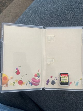 Pikmin 4 Nintendo Switch