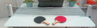 Set Palas y Red Ping Pong
