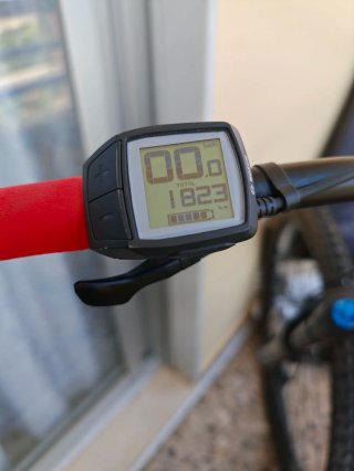 Bici Eléctrica MTB Whistle B-rush A 5.1 29