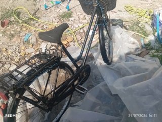 Bici Vintage con Cesta