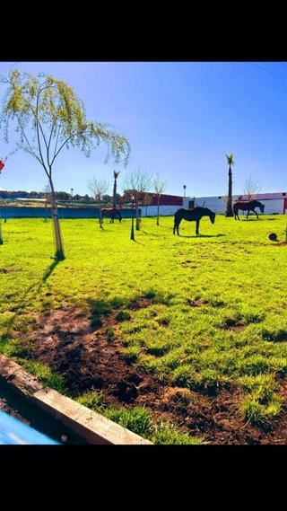 Finca a tan solo 25km de Madrid