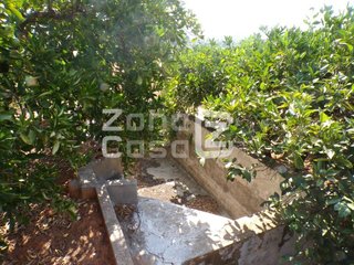 FINCA RUSTICA O CAMPO EN CARCAIXENT