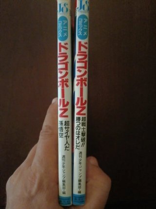 Dragón Ball Z Anime en japonés
