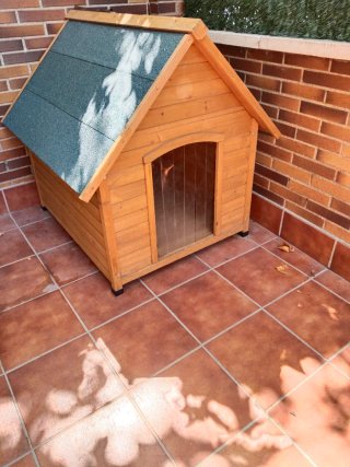 Caseta perro madera aislante