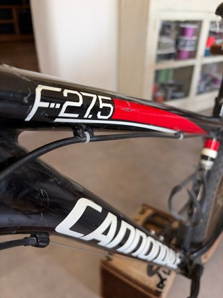 Cannondale Lefty