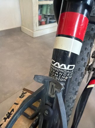 Cannondale Lefty