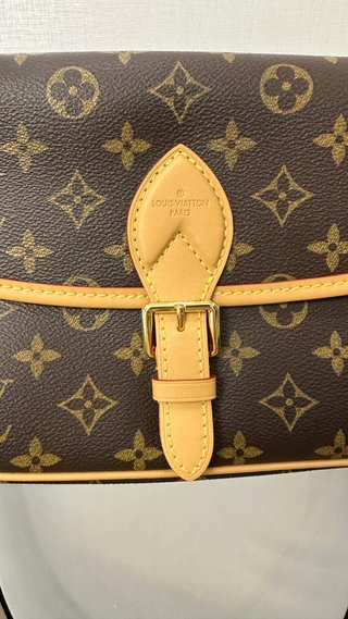 Louis Vuitton Sac Diane