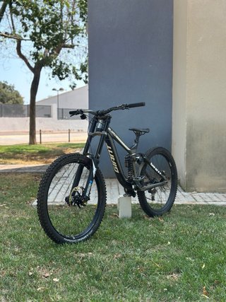 Giant Glory DH
