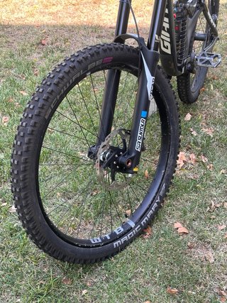Giant Glory DH