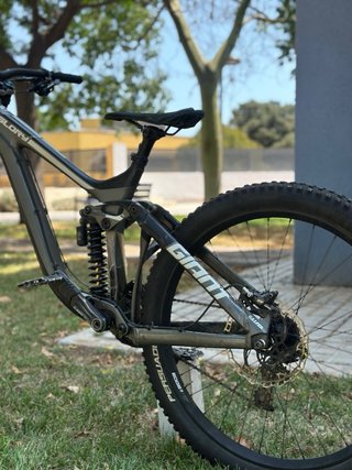Giant Glory DH