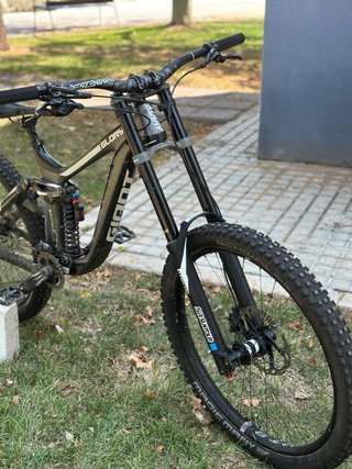 Giant Glory DH