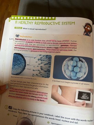 Social Science 6 ANAYA