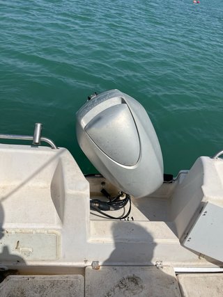 Fisher 550 con fueraborda Honda 90cv
