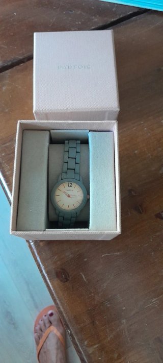 Reloj Darfois metálico Gris Mujer . Nuevo sin uso