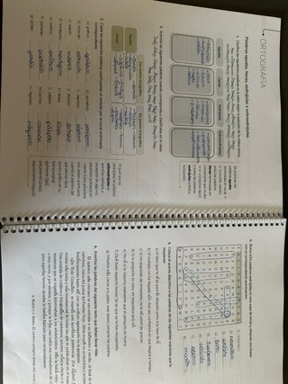 LENGUA CASTELLANA I LITERATURA 1 ESO Prodigi