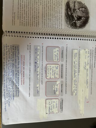 LENGUA CASTELLANA I LITERATURA 1 ESO Prodigi