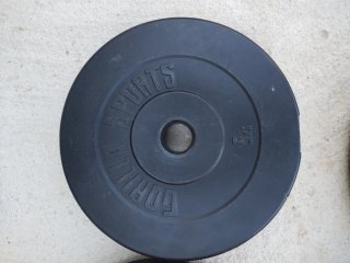 Barra de pesas con discos 10kg y 5kg