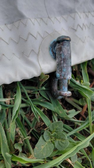 Foque de garruchos