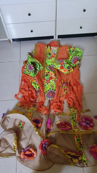 Disfraz Carnaval Multicolor Talla Única
