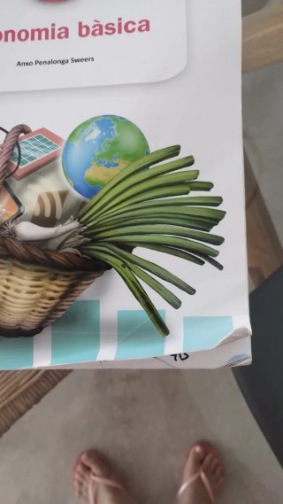 Economia bàsica 4t ESO