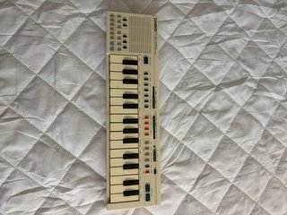 Teclado Casio PT-20