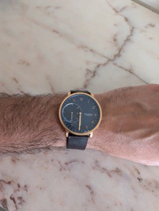 Reloj Skagen Dorado y Negro