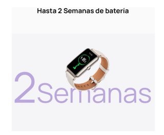 Huawei Watch Fit Mini Marrón/Plata