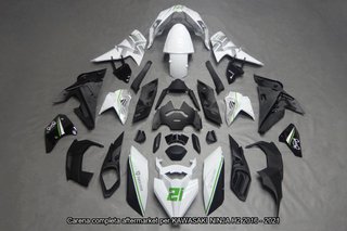 Oferta especial Carenado KAWASAKI NINJA H2 1000 16