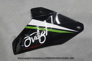 Oferta especial Carenado KAWASAKI NINJA H2 1000 16