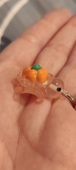 5 Ciondoli Tartaruga Zucca