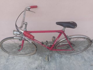 Bicicletta Torpado Junior