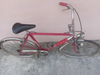 Bicicletta Torpado Junior