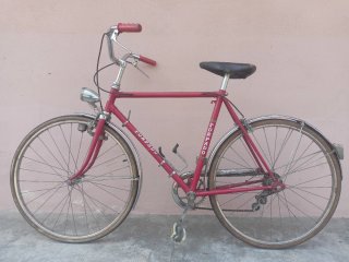 Bicicletta Torpado Junior