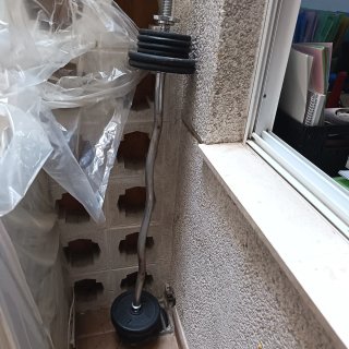 Barra de pesas curva con discos
