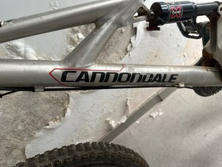 Cannondale Prophet