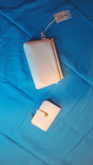 Pochette e Portafoglio Carpisa Bianco Oro