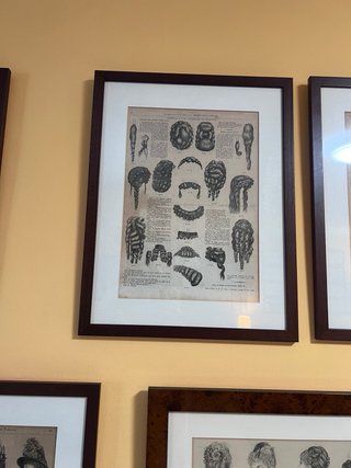 Coleccion siglo 19 señoras y seroritas