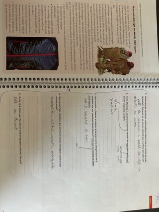 TECNOLOGIA I DIGITALITZACIO 1 ESO Prodigi