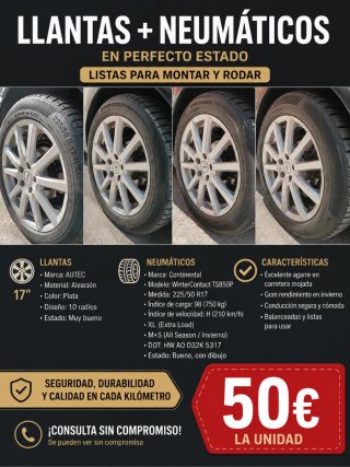 Llantas mas neumáticos 225/50 R 17 H XL