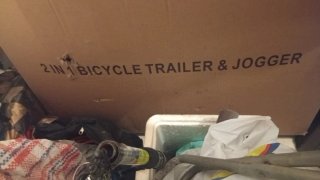 Remolque bici 2 en 1 jogger