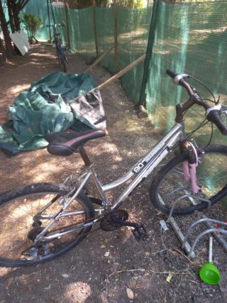 Bicicleta de montaña plateada