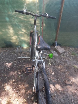 Bicicleta de montaña plateada