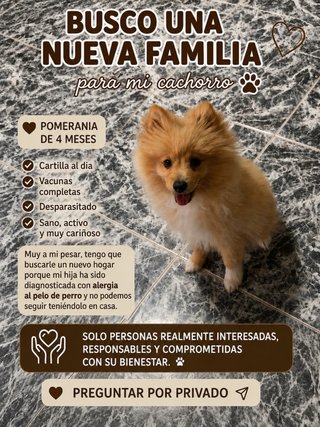 Adopta un perrito