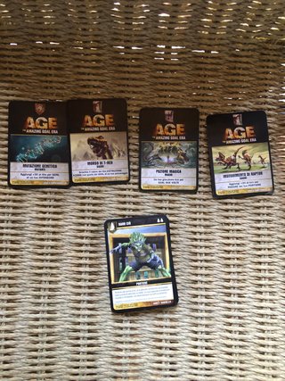 Carte da gioco AGE of Fantasy