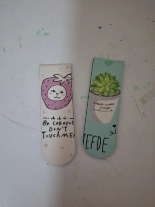2 Marcapáginas Dibujo Fresa y Suculenta