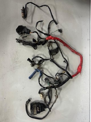 Motor Honda TRX 450R