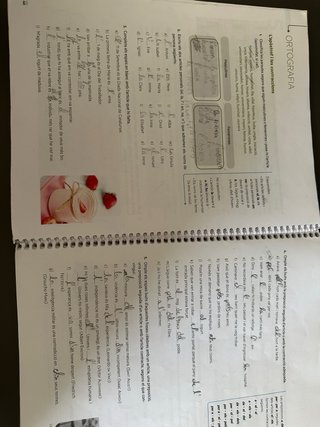LLENGUA CATALANA I LITERATURA 1 ESO Prodigi